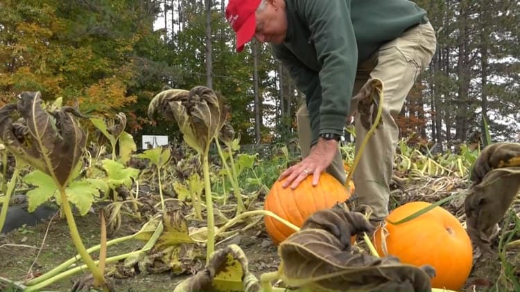 Federal assistance available for Maine farmers affected by drought