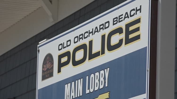 Officials monitoring bear sightings in Old Orchard Beach