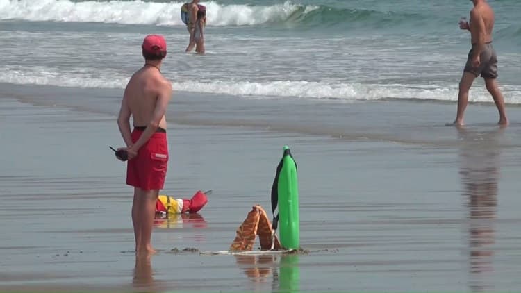 Shark sighting closes Biddeford beach waters Thursday