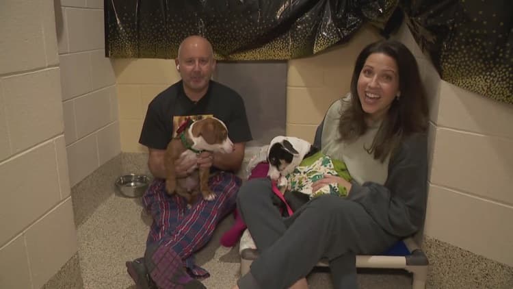 Sharing a kennel with adoptable dogs and cats: Annual Shelter Sleep-In returns