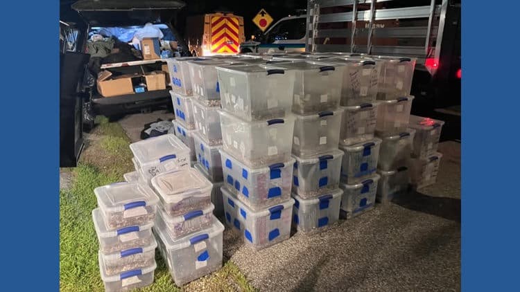 MDEA raids secret home drug lab in Saco