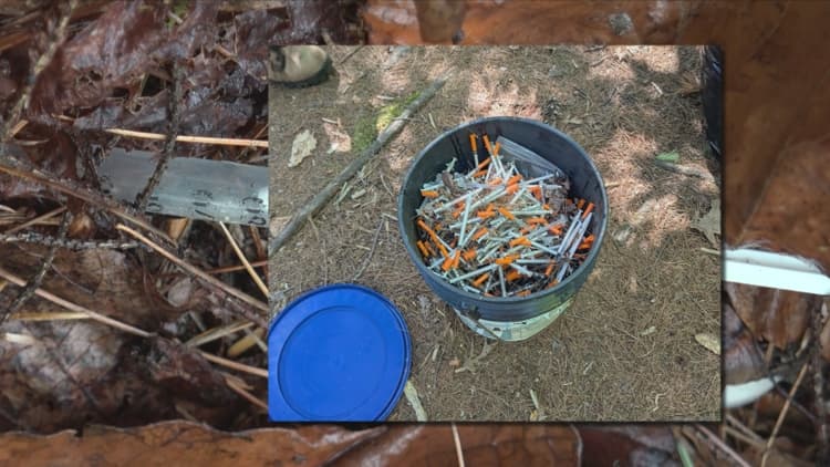 'A public health issue': Sanford volunteers call for action after collecting 1K syringes from park