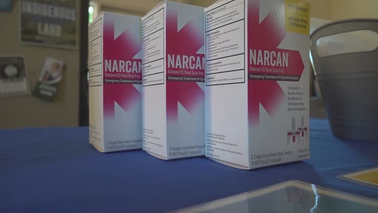 Bangor organizations unite to fight overdose crisis with community resource fair