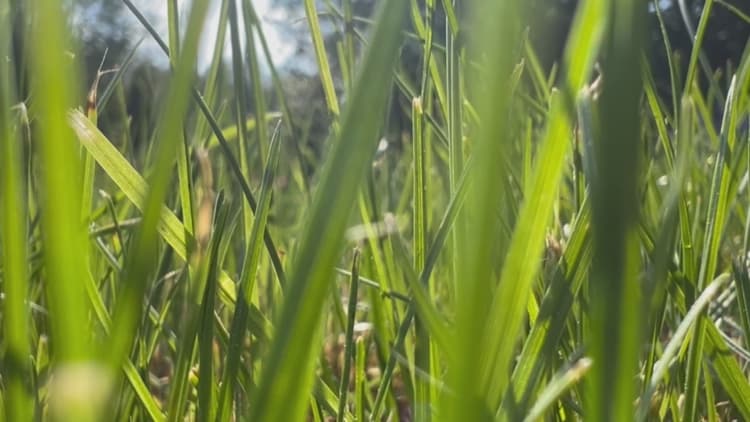 Kittery announces mandatory water restrictions to begin Monday