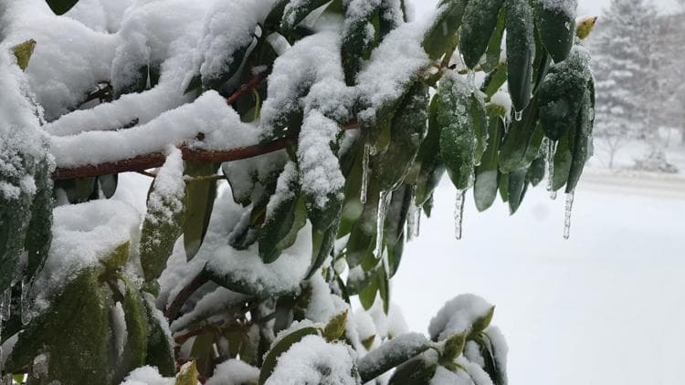 How common is a white Christmas in Maine? Let's look at the data