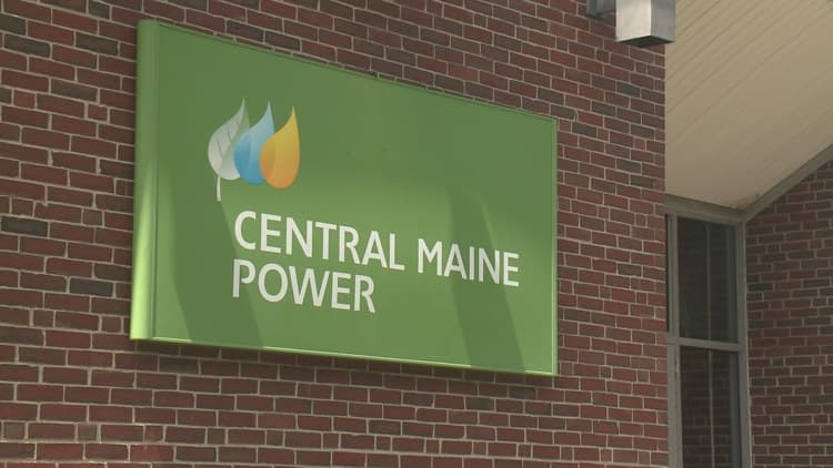Brief power outage in Portland caused by crow's contact with substation, CMP says