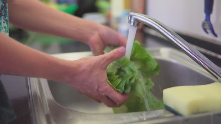 Cyclospora outbreak raises concern as Falmouth woman shares ordeal with parasite scare