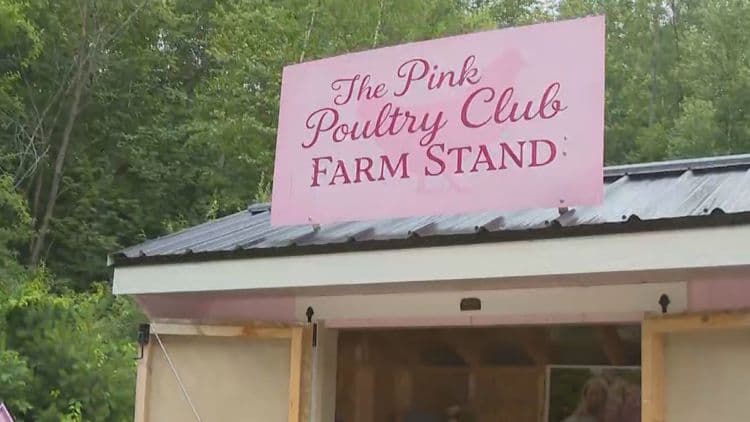 Farm Stand Guide: Brunswick man creates website to make it easier to find farm stands in Maine