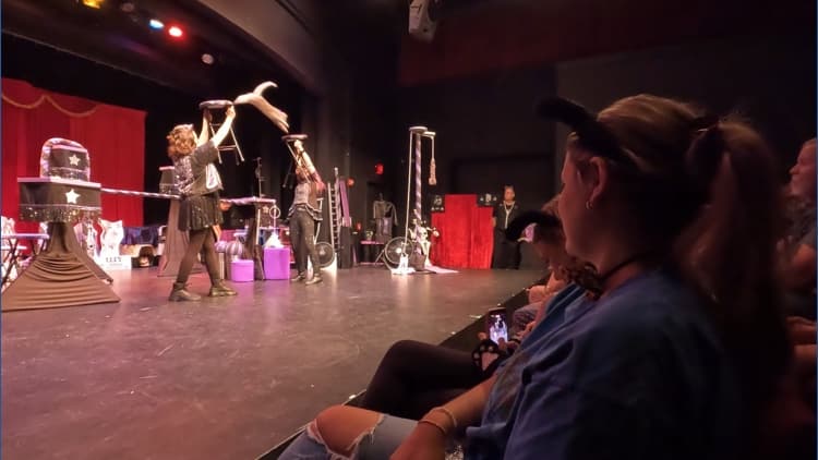 Rescues shine in "Acro-Cats" show