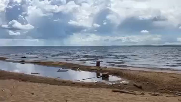 $8.1M grant to help protect Sebago Lake's water, woods, and wildlife
