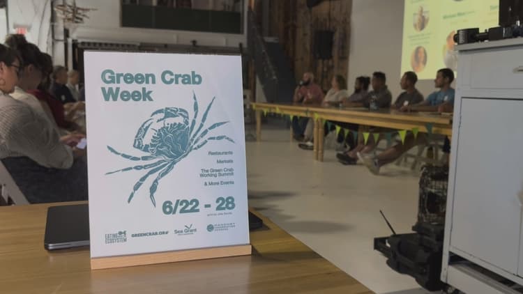 New England fishing leaders explore economic opportunities during National Green Crab Week