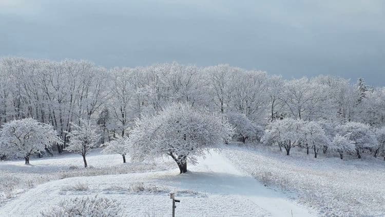 Maine and New Hampshire snowfall totals for Sunday storm