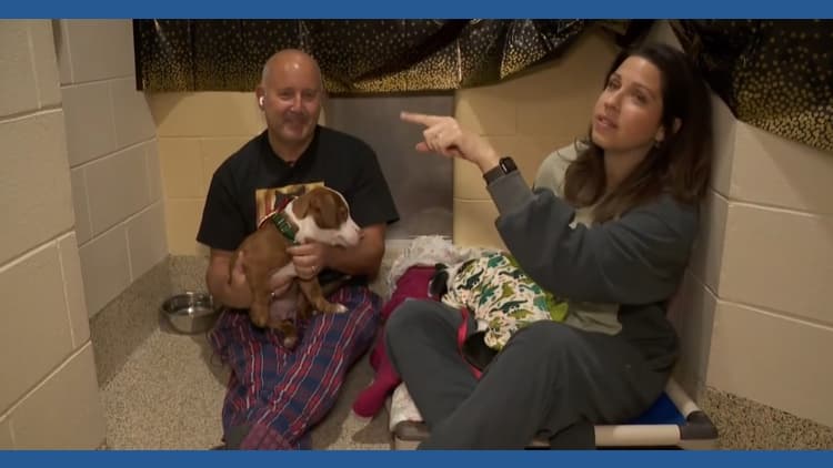It's time for the Animal Refuge League of Greater Portland's biggest fundraiser of the year: Shelter Sleep-In