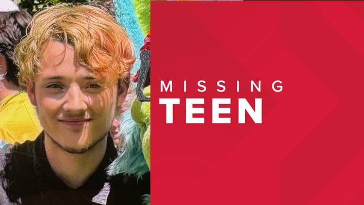 Limerick teen reported missing; police seek tips