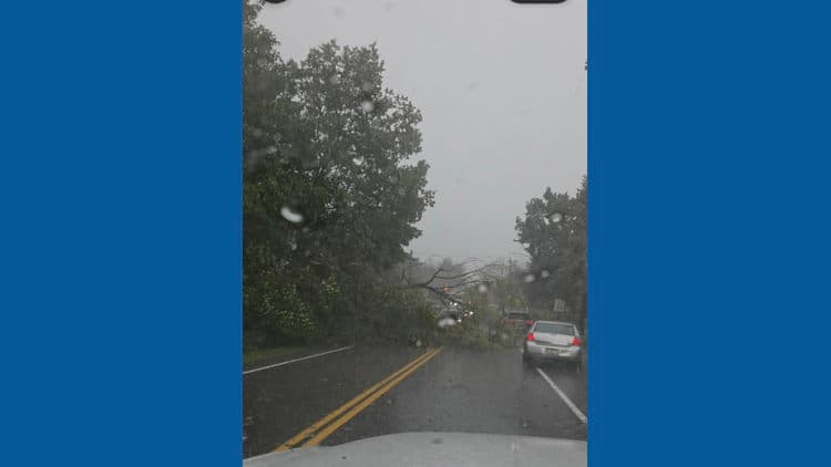 Severe thunderstorms followed by trees down, loss of power and crash in Portland